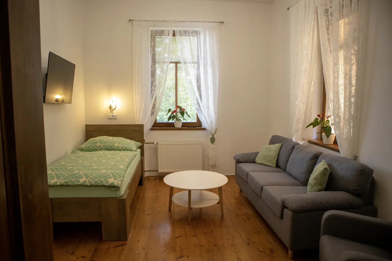 Living room with a single bed